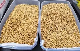 Wholesale Best Quality 50kg Bag Sprouting and Food Grade Dry Yellow Soybean Seed Non Gmo Soybeans