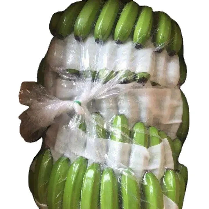Fresh Bananas Green Cavendish Banana