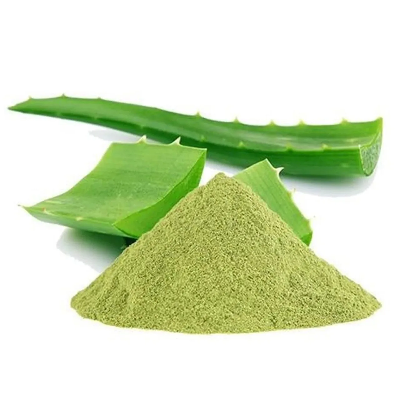 Pure Natural Aloe Vera Leaf Extract Powder | Indian Herbal  Organic Aloe Vera Extract Powder