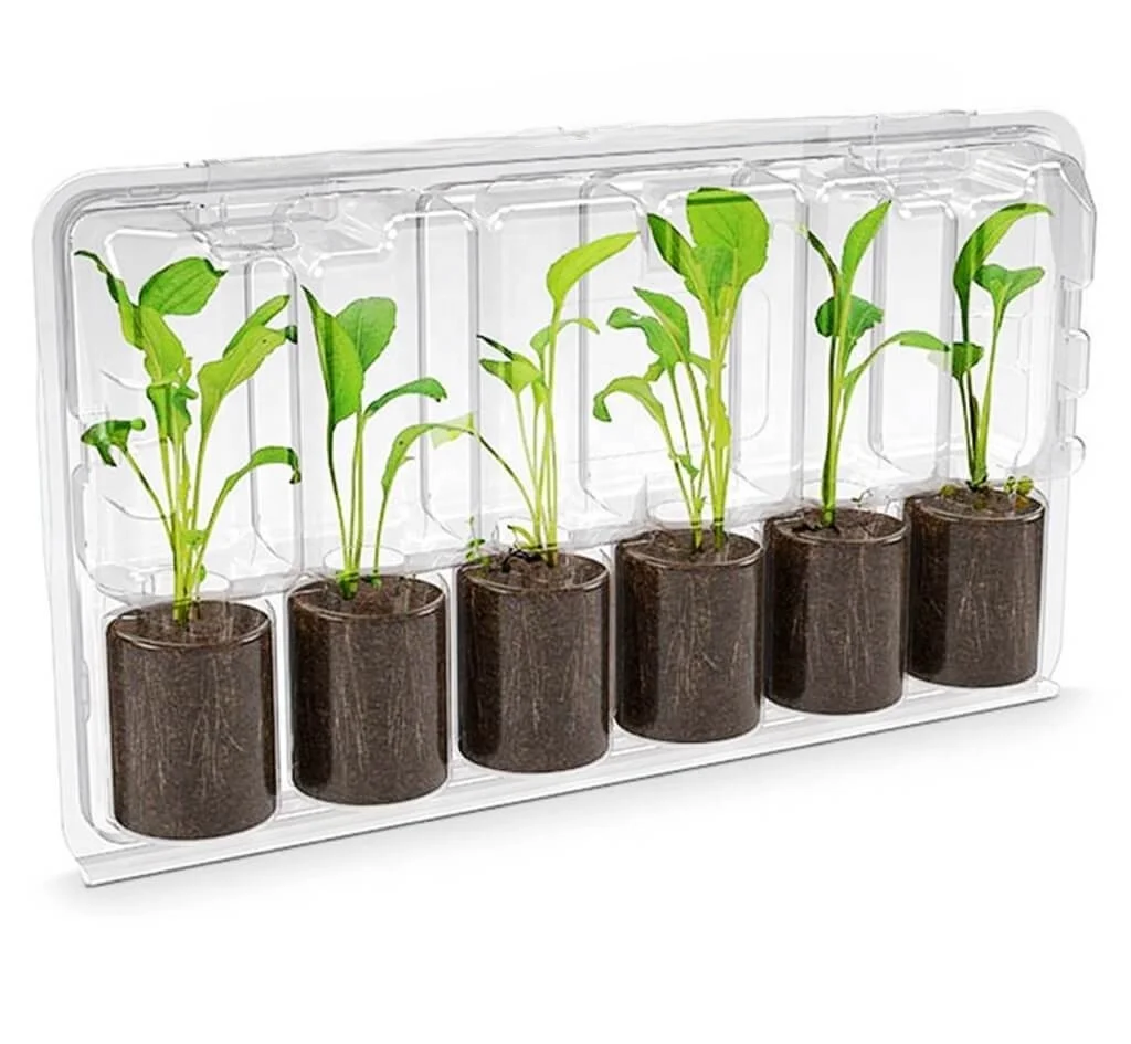 Заводская цена растительные блистерные упаковки раскладушка упаковка для растений заглушка раскладушки