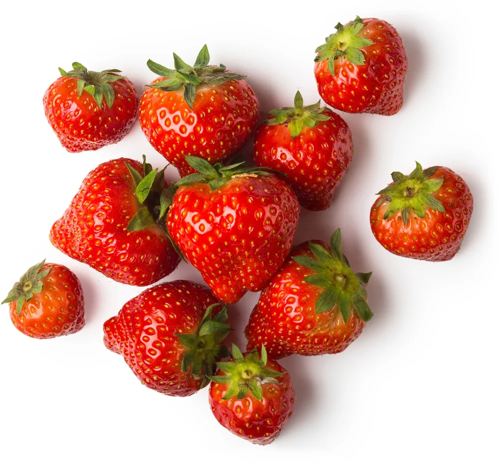 Fresh Strawberry / African Strawberry / Export Quality Strawberry For Sale