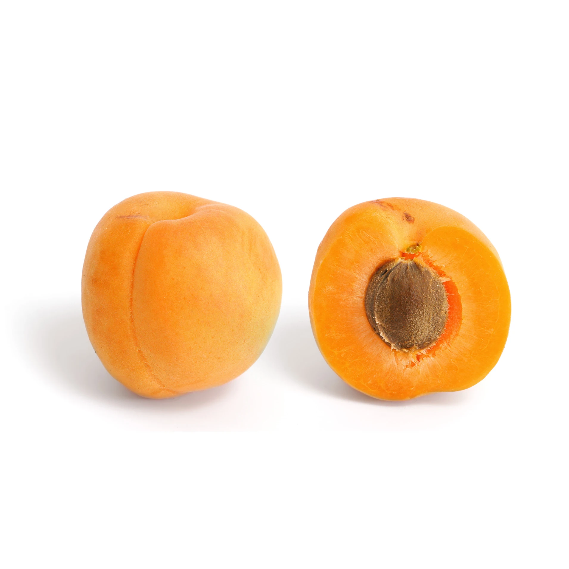 Top Quality Fresh Apricot, Organic Fresh Apricot, Fresh Apricot Fruit Supplier