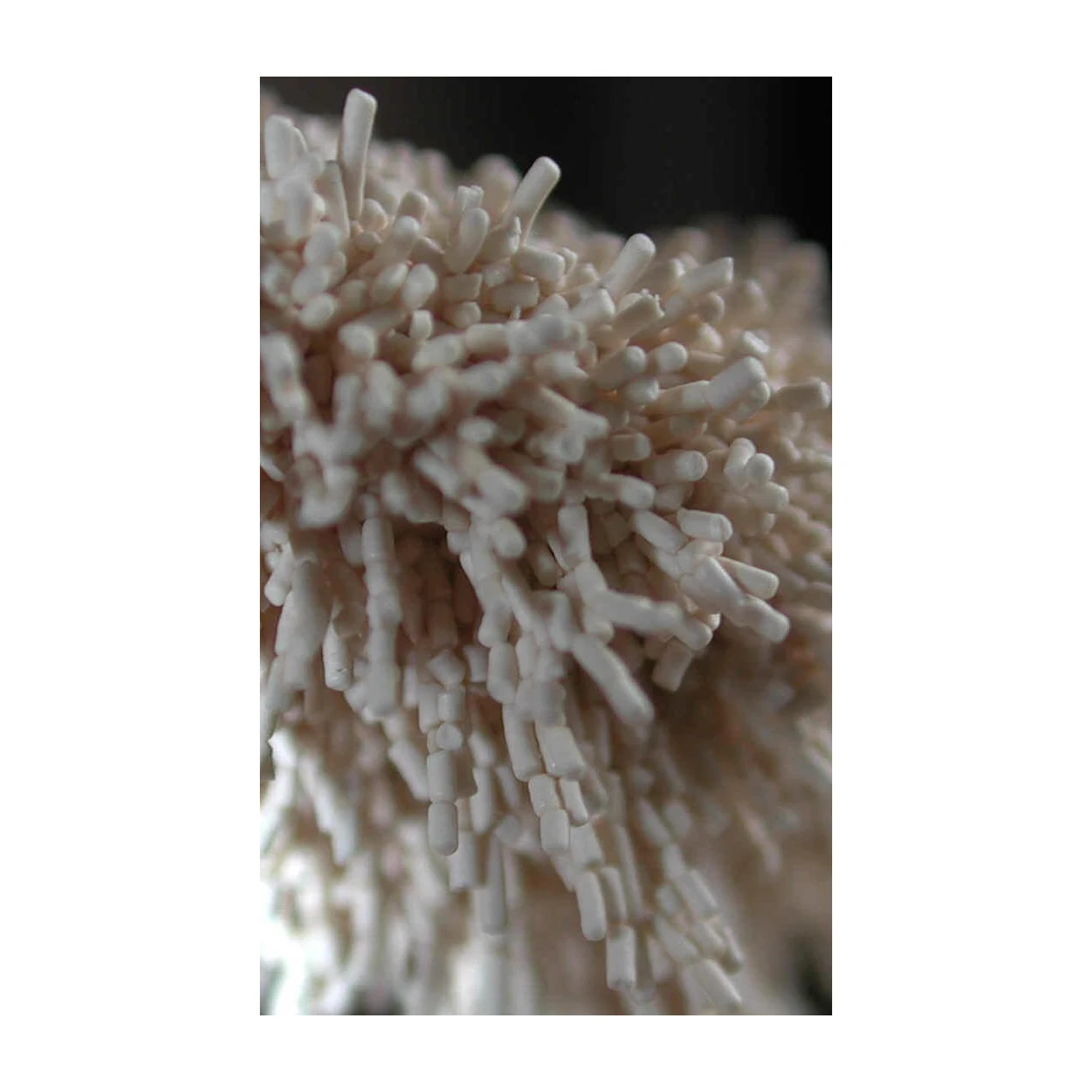 Instant Dry Yeast 500g Packing Packaging Powder Weight Sugar Form Shelf Bread Raw Origin Super Vacuum Type