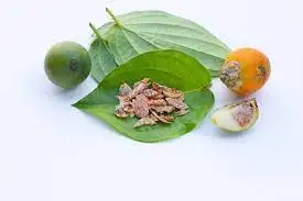 Betel/Areca Nut Best Quality Whole & Split Betel/Supari Nuts Selling Export Quality From Bangladesh