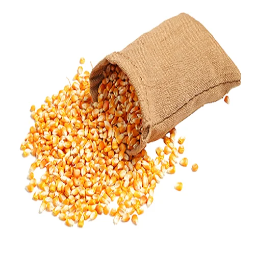 Non GMO Yellow and white Corn Maize