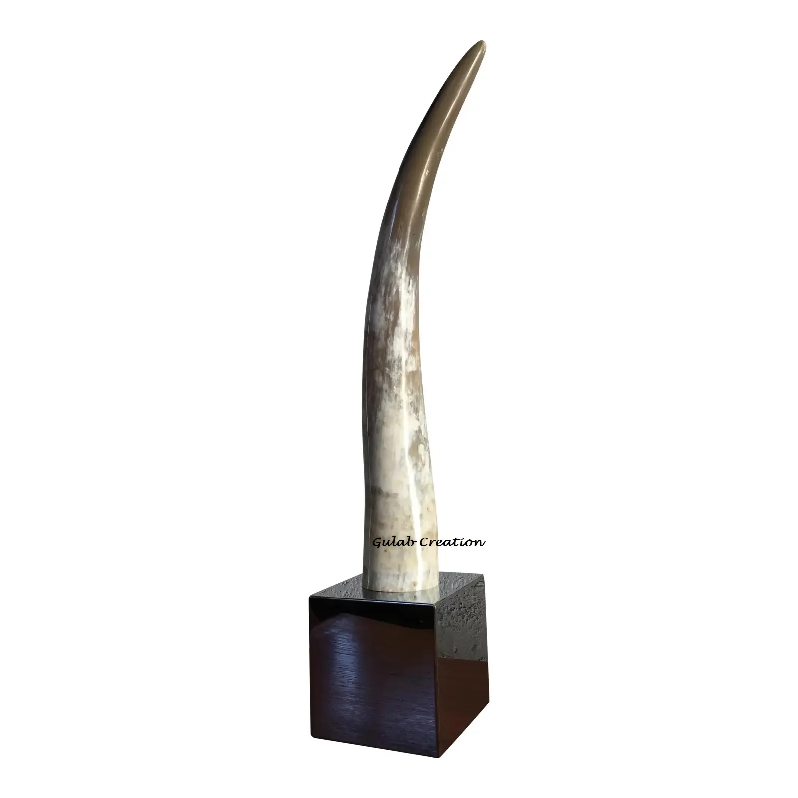 Large Mid Century Natural Polished Buffalo Horns Sculpture with black wooden base