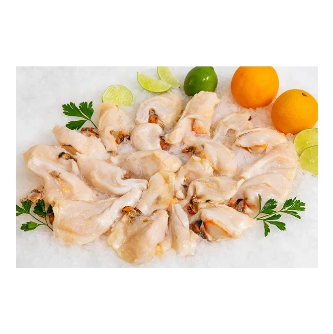 Frozen Conch Meat, Seafood, Sashimi Grade