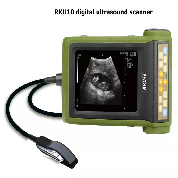 Veterinary Products Handheld Animal Vet ultrasound Device RKU10 Vet Ultrasound Scanner Portable Veterinary Ultrasound Machine