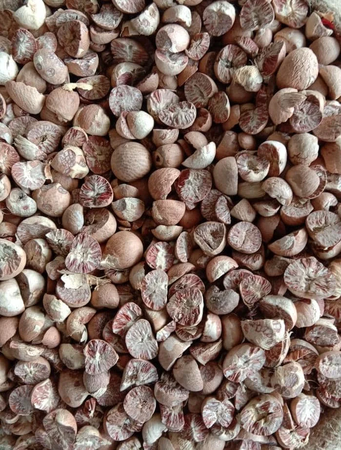 Top Quality Organic Export Oriented Areca Catechu Dried Betel Nut Color Brown Origin Betel Nut From Indonesia