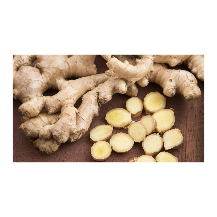 New Fresh Ginger for Wholesale Dry in Bulk Sale Low Price
