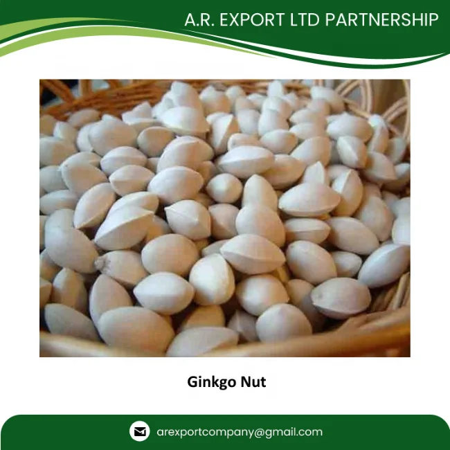Best Grade Quality Ginkgo Nuts in Thailand from Premium Ginkgo Nuts Exporter
