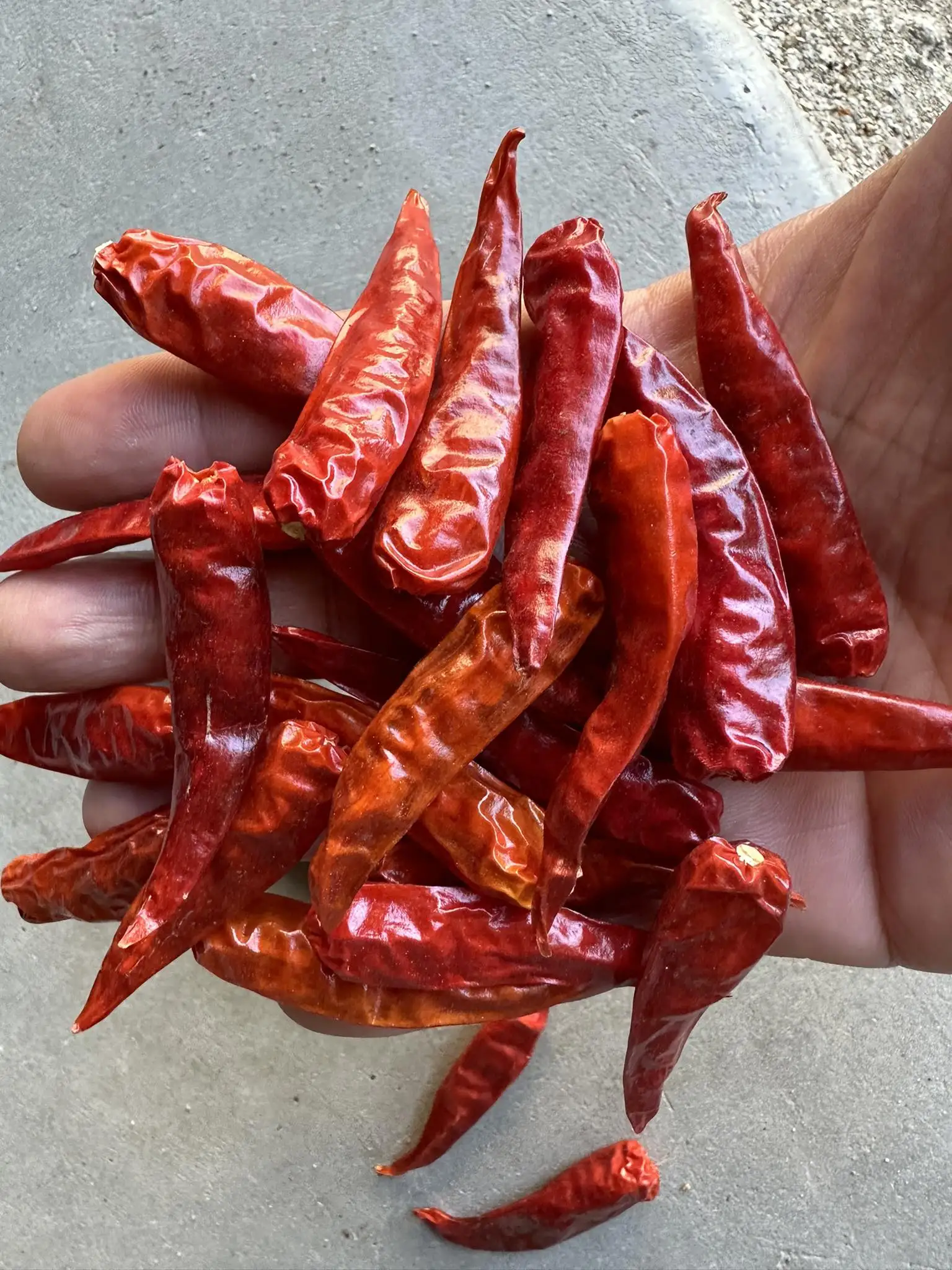 Hot Spicy Taste with Dried Red Chilies with or Without Stems Extremely Spicy Taste Made in Vietnam at Wholesale Price