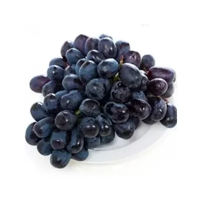 Premium Quality Premium Black Grapes with Good Sweet Content and Flavorful Available at Wholesale Price from Indian Exporter