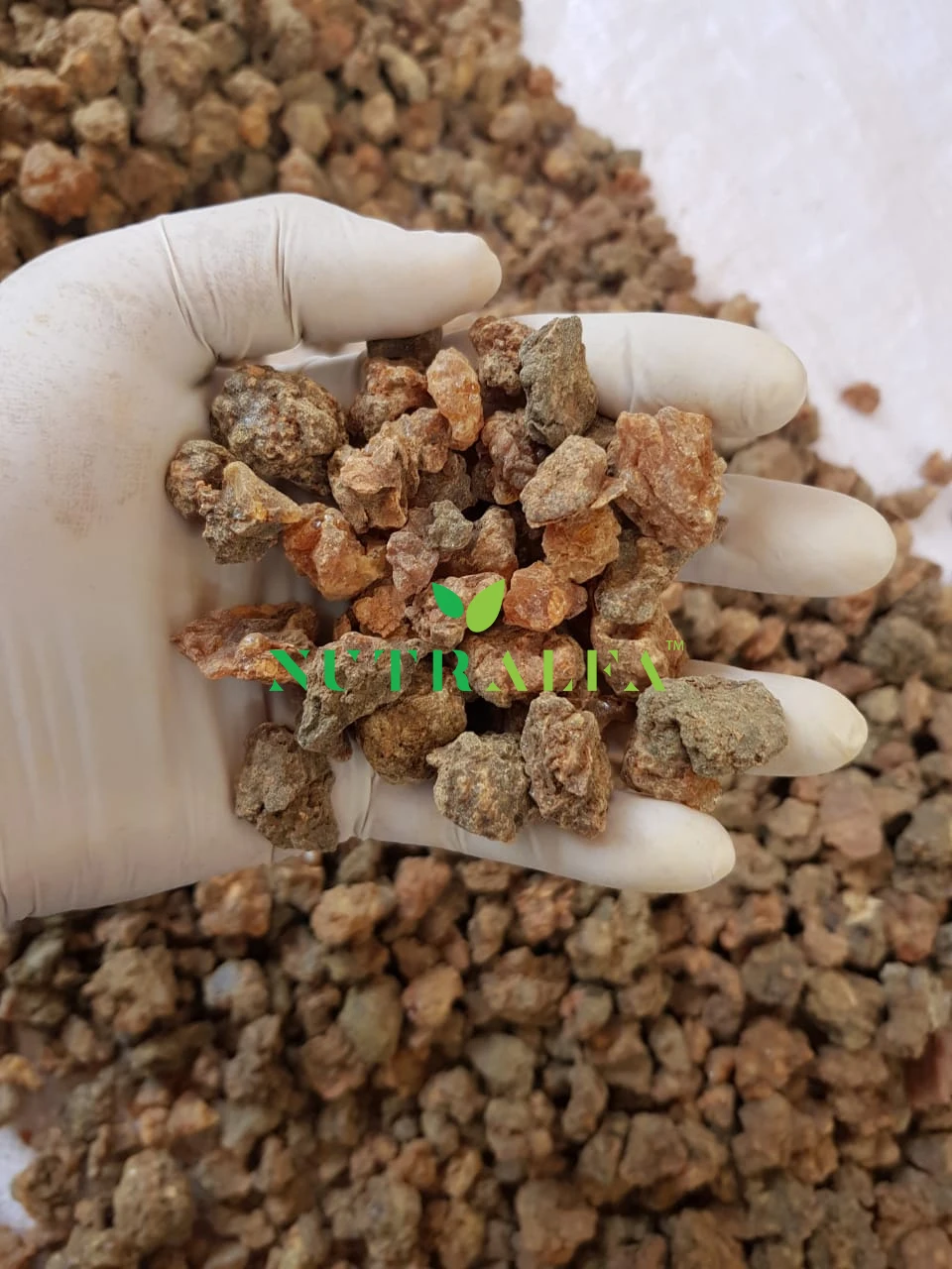 Myrrh Resin Burning Oil 100% Pure High Quality Wholesale Price Myrha Molmol