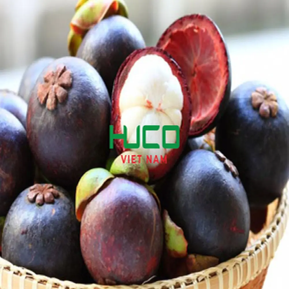 Highest Selling Products Fruit CHEAP PRICE MANGOSTEEN FRUIT from VIETNAM