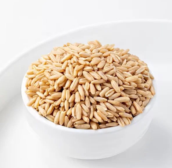 Wholesale High quality organic rolled flakes oats cheap supply/Oats Grains for sale in bulk shipping worldwide