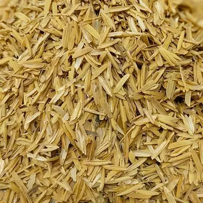 Exporting cheap price Raw rice husk for sale