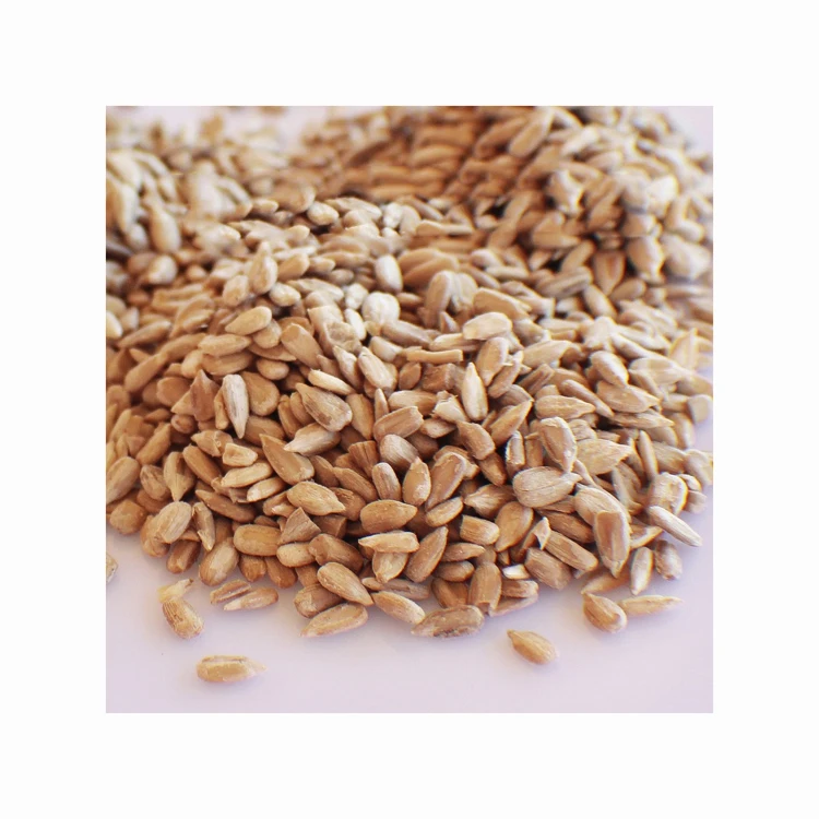 Wholesale Price Forage seeds for sale in bulk