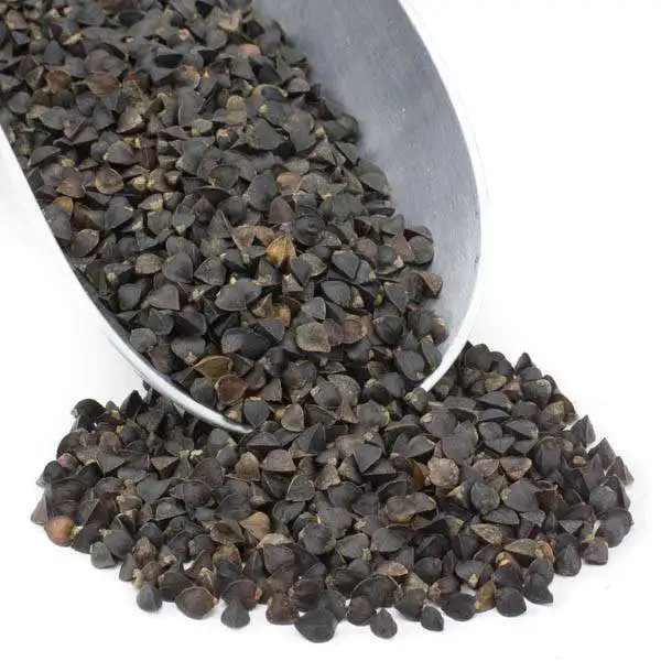 USA groats buckwheat gluten free buckwheat kernel buckwheat grains