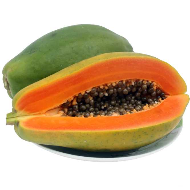 Best selling Fresh Canned Papaya with cheap price and fasr delivery