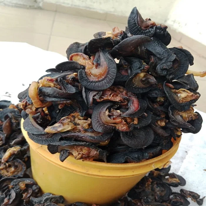 Cheap price arrival Fresh African Giant Snails/Processed Frozen Dried & Alive Snails