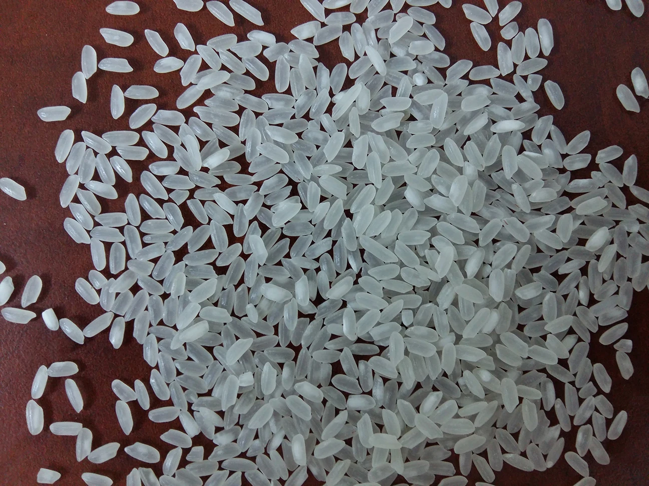 New Crop Customized Logo Hot Sale Tender Non-stick Style Good Price Ham Chau Medium Grain White Camolino Rice from Vietnam