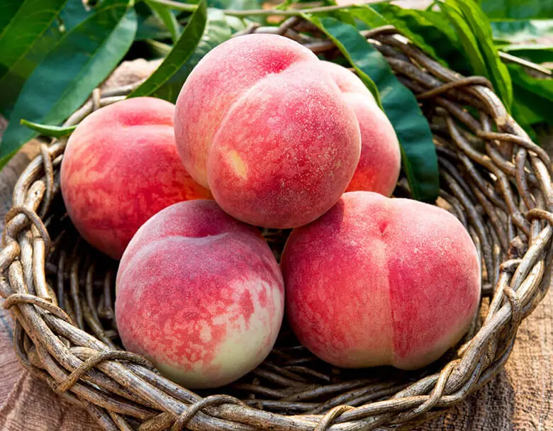 Sweet Japanese Peach Fruit Pack