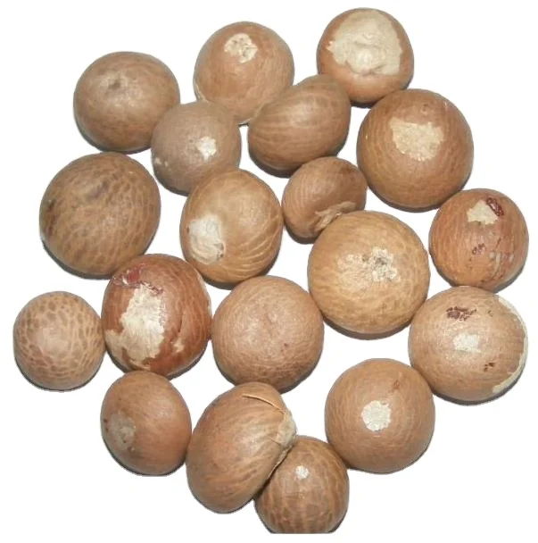 Dried Whole / Split Betel Nuts / Areca Nuts From Thailand