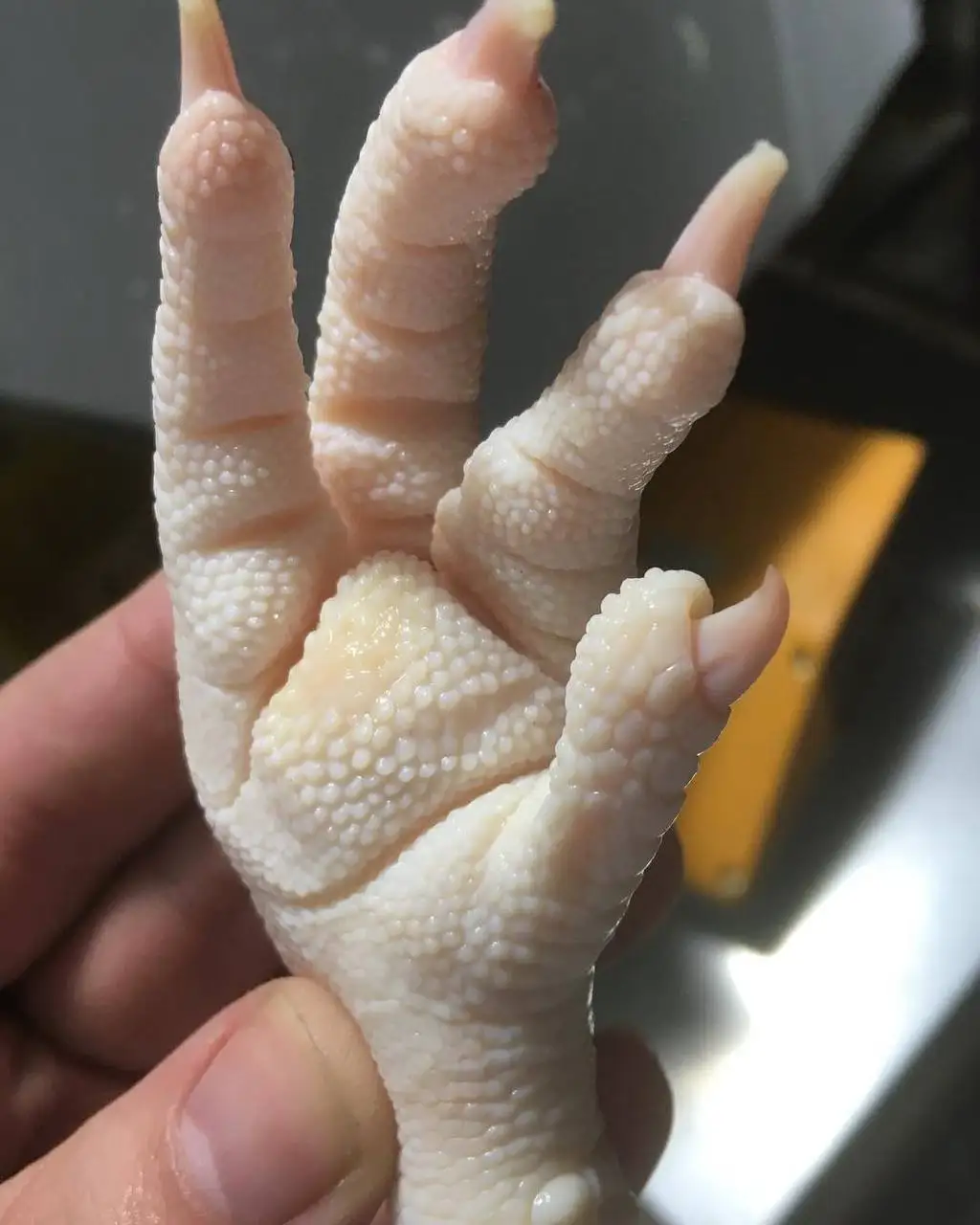 AFFORDABLE WHOLESALE CHICKEN FEET/PAWS
