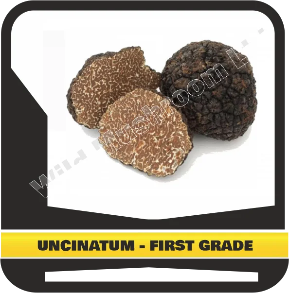FRESH BLACK WINTER TRUFFLES UNCINATUM - FIRST GRADE