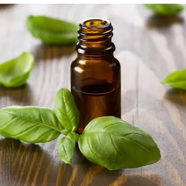 Basil Essential Oil Wild-Cultivated Herbal Extract in Liquid Form Packed in Plastic Glass or Bottle with Seed Part Used