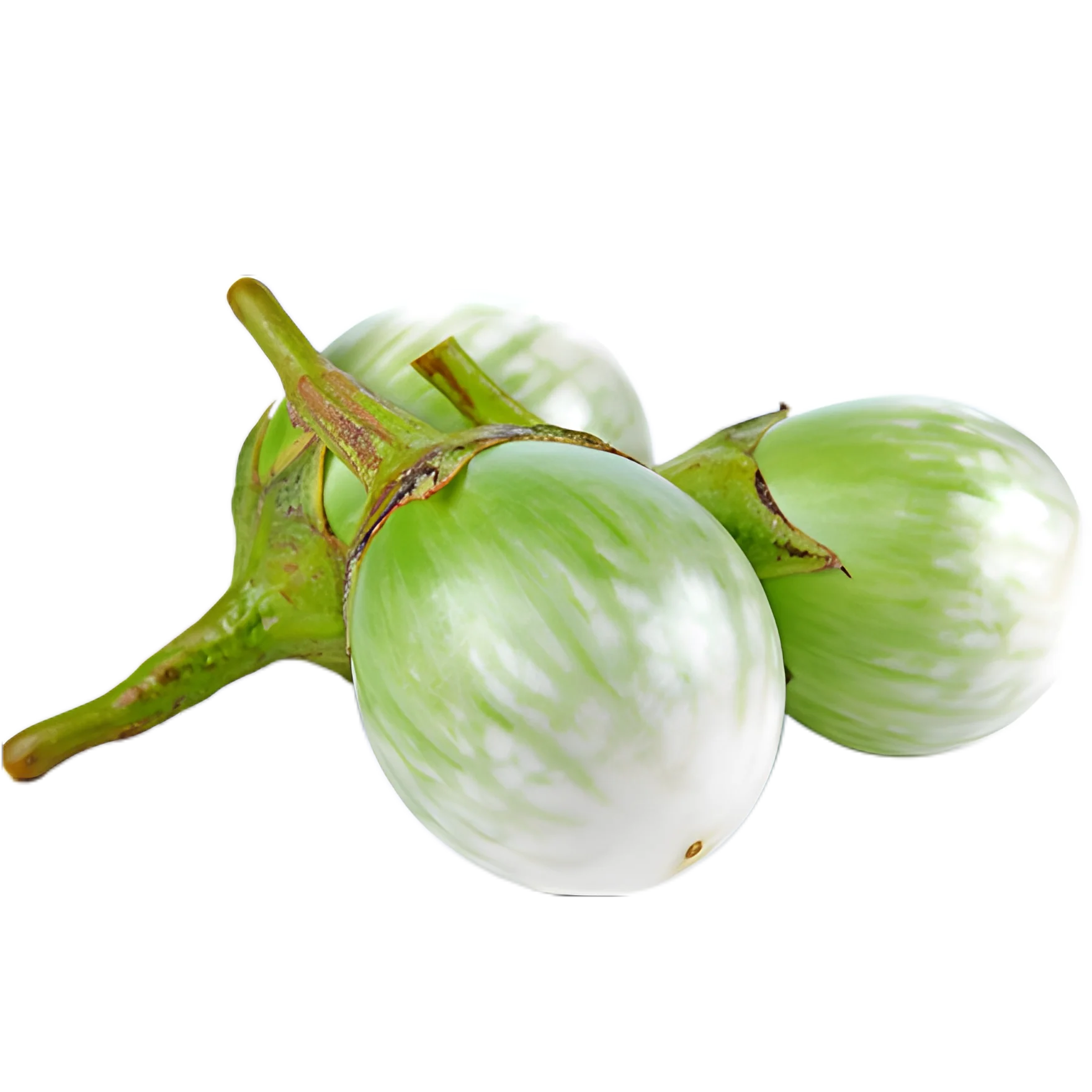 Fresh Round Egg plant From Thailand Fresh Vegetable Ready to export Premium quality Fresh Round Egg plant