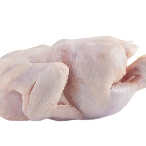 BULK HALAL WHOLE FROZEN CHICKEN FROM TURKEY
