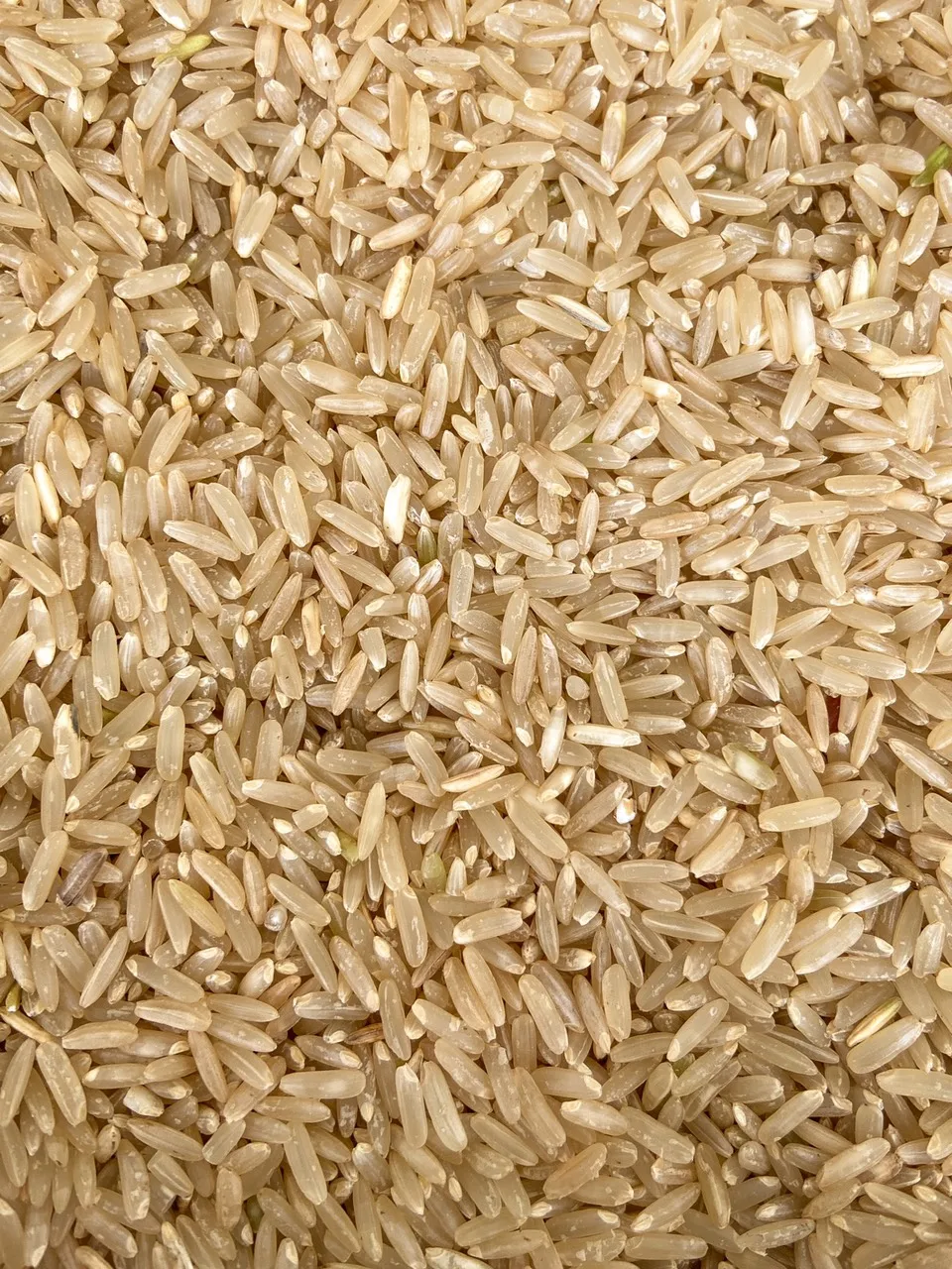 High Quality Vietnam Brown Rice 5% Broken Dried and Soft Texture Origin Vietnam Contact +84398885178 (Jenny Doan)