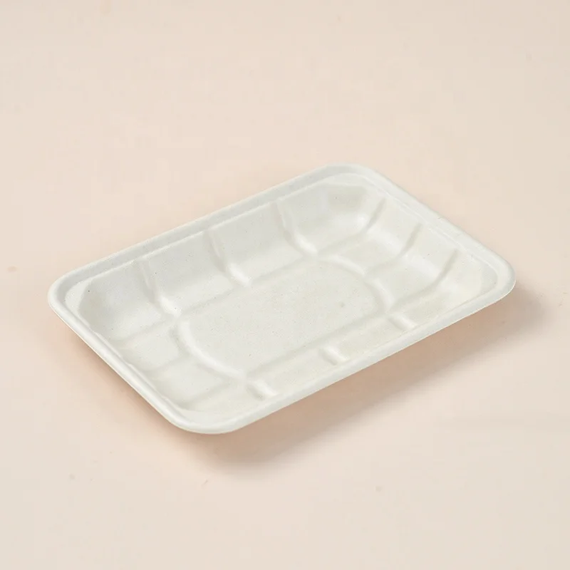 Hot Sale Compostable Dishes Sugarcane Bagasse Biodegradable Vegetable Meat Tray