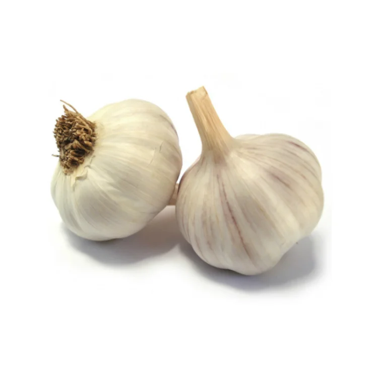 Top Quality Garlic Used As A Seasoning For Dishes 100% Dried Garlic Organic Packed In Box Vietnam Manufacturer