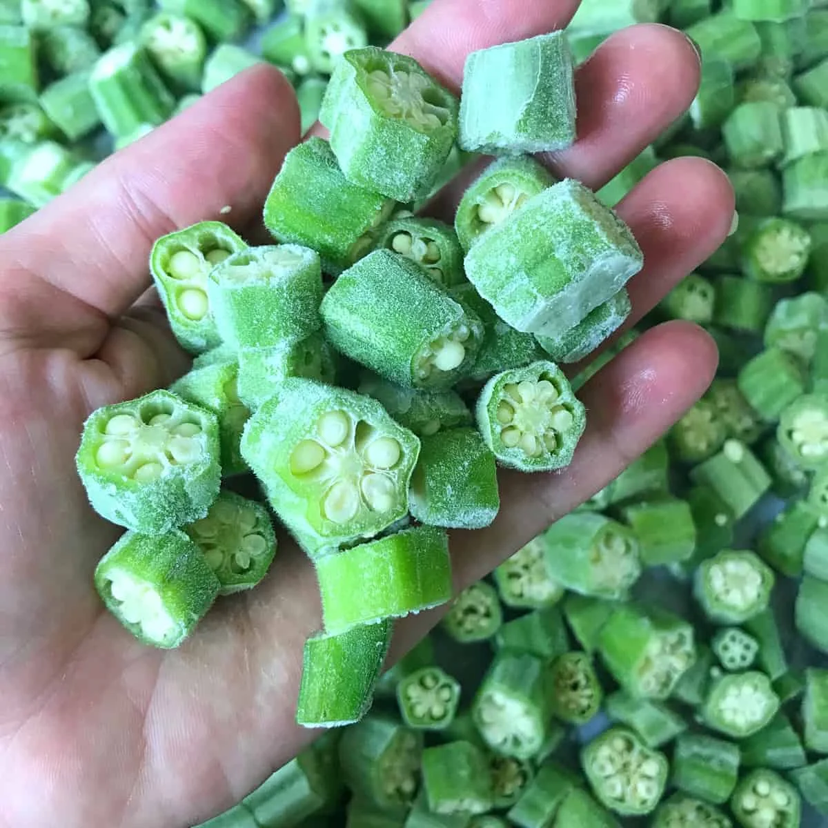 wholesale export bulk buyers import prices iqf cut green natural vegetable haccp frozen zero okra (1600868953710)