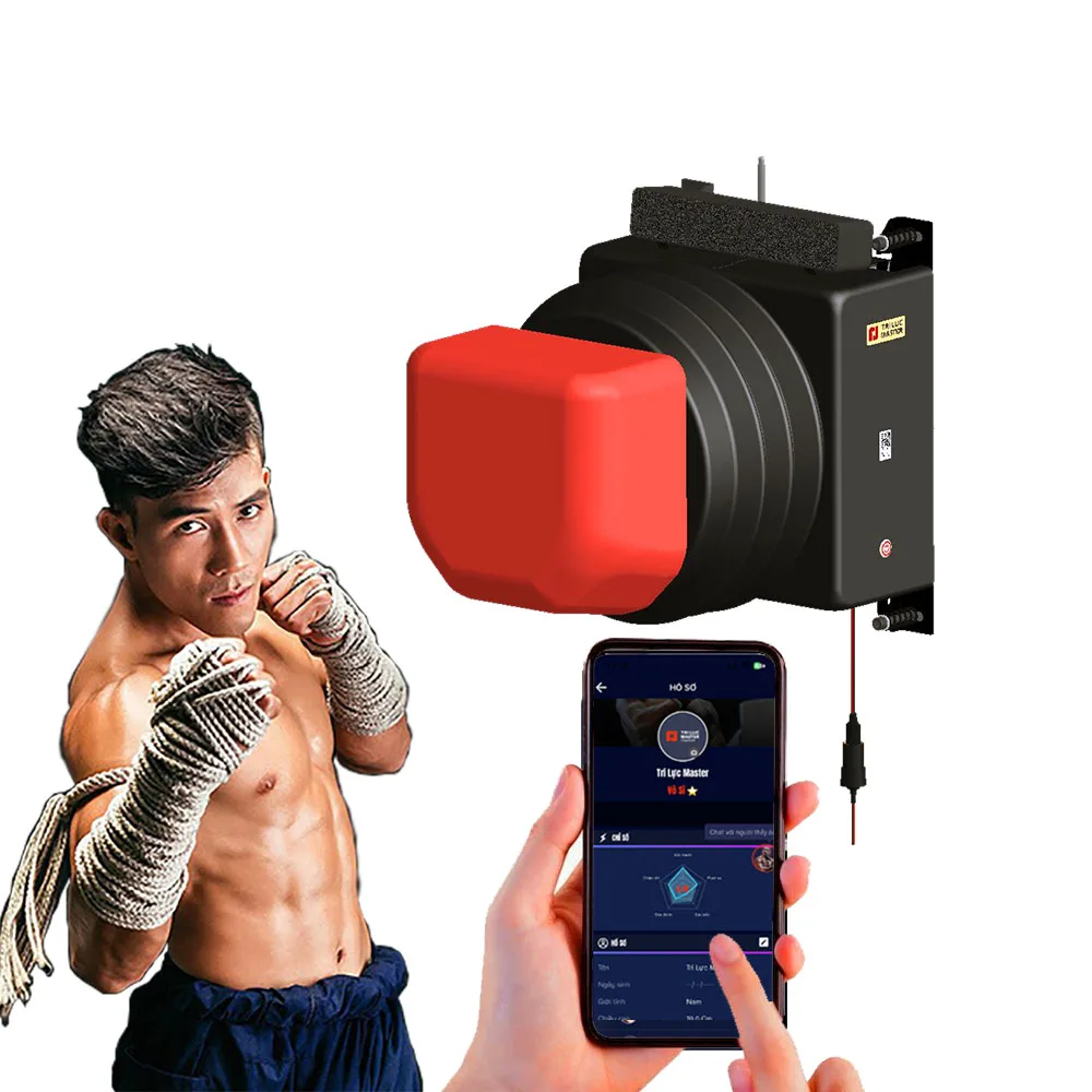 Smart Wall-Mounted Boxing Training Machine with Accurate Punch Measurement, AI Assistant, Music Workouts for All Ages