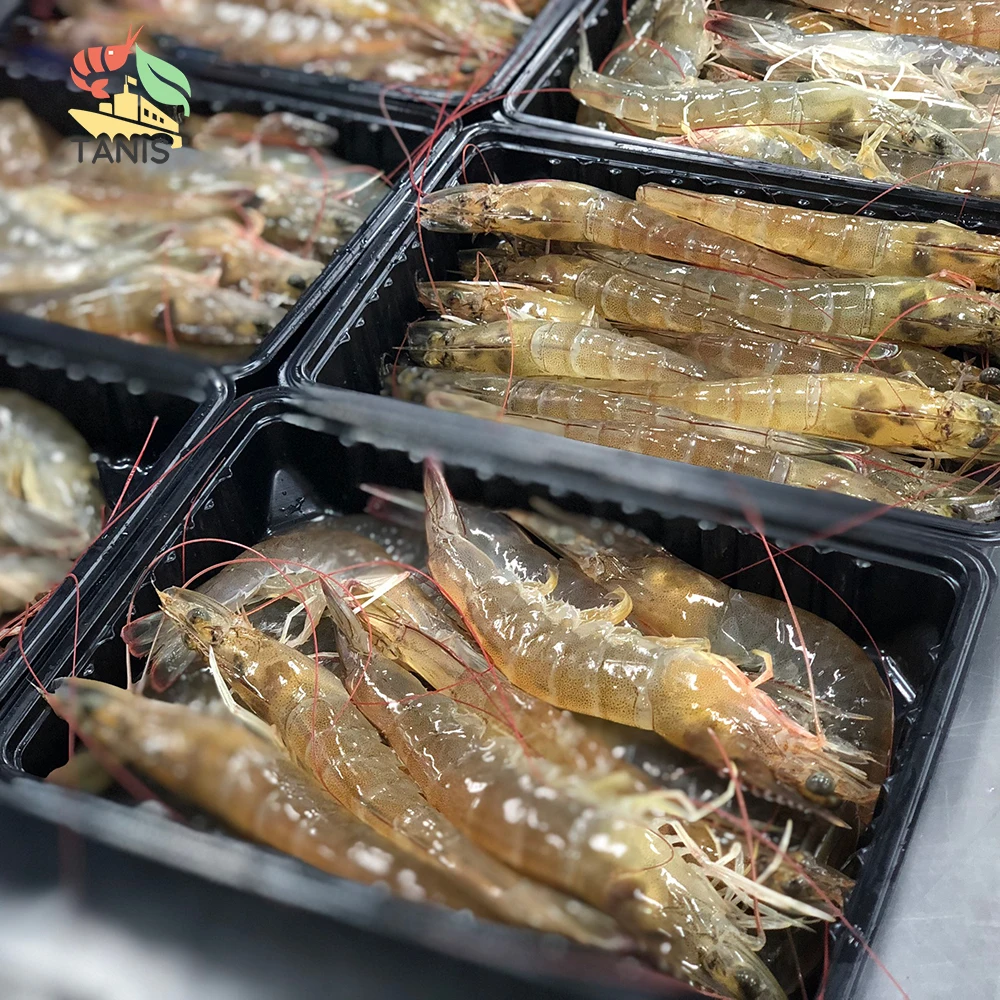 Best Quality Frozen Raw Vannamei Hoso/ Frozen Vannamei White Shrimp Raw with Competitive price