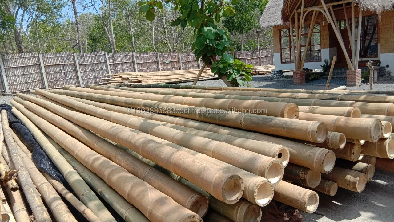 Large Bamboo Poles Raw Material 500 CM (Treated)