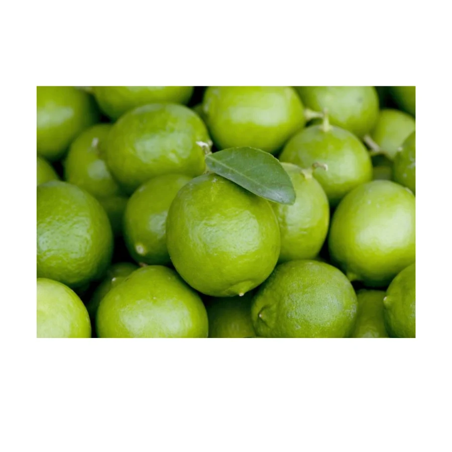 High Quality Organic Fresh Limes Healthy Organic Fresh Limes For Sale