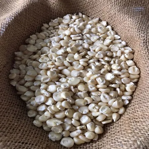 DRY WHITE CORN