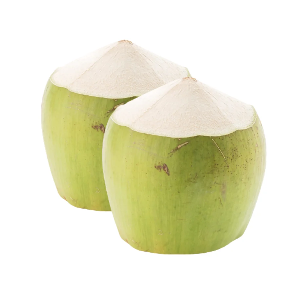 Fresh Young Coconut Wholesale for Drinking and Cooking Premium Quality from Viet Nam Manufacturer
