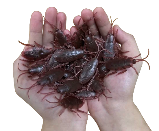 magic magic Trick Fine Design Unique Tricks EN71 BSCI Novelty Jokes Gag Gift Toilet Bug - Cockroach W/ Suction Cup Toy Joke