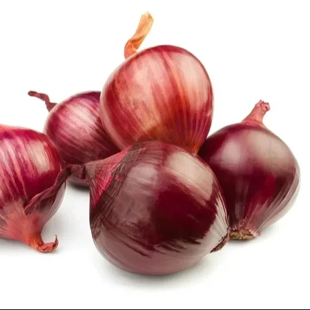 We have very good quality red onion which is naturally produced for export all over the world