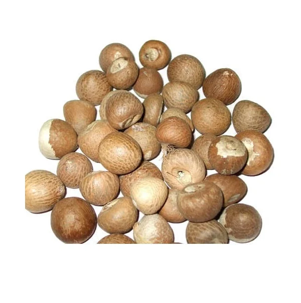 Rich nutrition Top quality organic High quality areca catechu dried betel nut