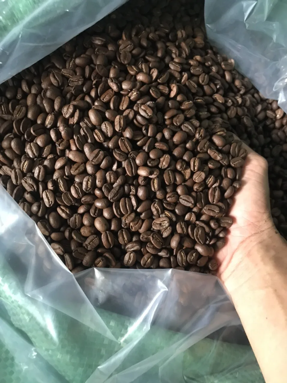 Высококачественный кофе 100% Robusta цельная зерна/растворимый свежий жареный 1 кг/0 5 25