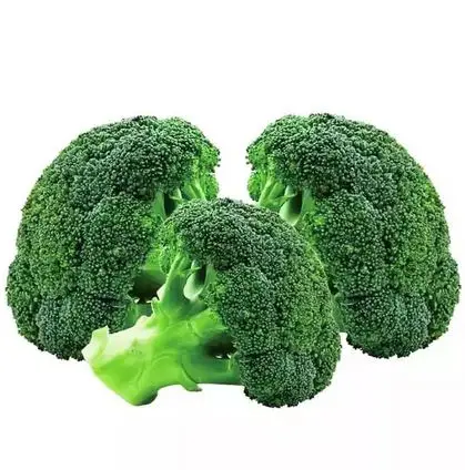 German Cheapest Price Frozen Broccoli Fast Delivery Natural IQF Frozen Fresh Broccoli Frozen Green Broccoli Spears