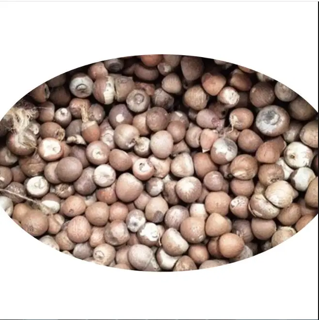 Хорошее качество оптовая продажа орехи Betel 80/85 из Индонезии со стандартом