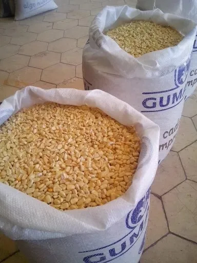 Affordable Dried Yellow Maize Corn, Non-GMO Yellow Corn & White red Corn/Maize for Human & Animal Feed